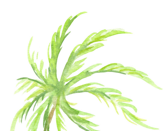 椰子树