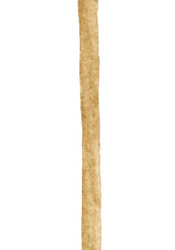 魔法棒