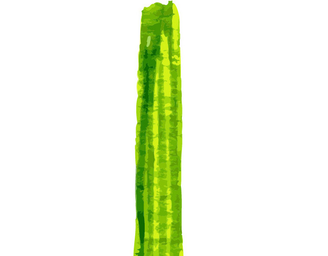 蔬菜