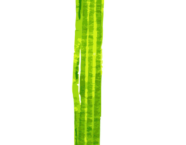 蔬菜
