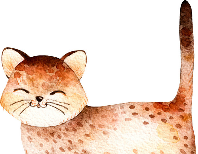猫