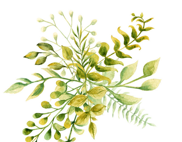 植被绿色叶子花环素材