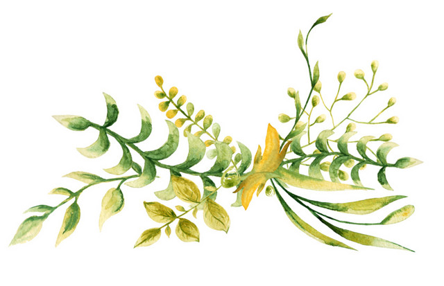 植被绿色叶子彩色花环素材
