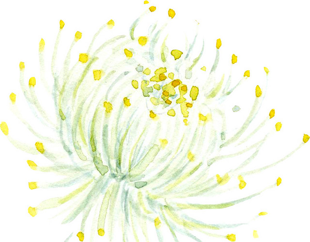 涂鸦花瓣黄色花蕊素材