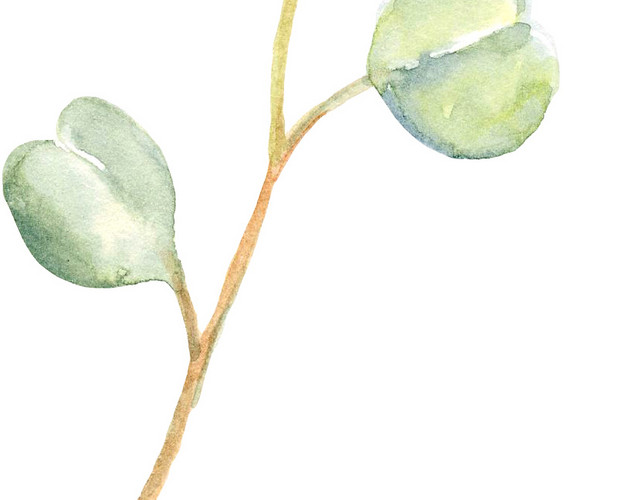 多边形彩色花骨朵棕色枝条素材