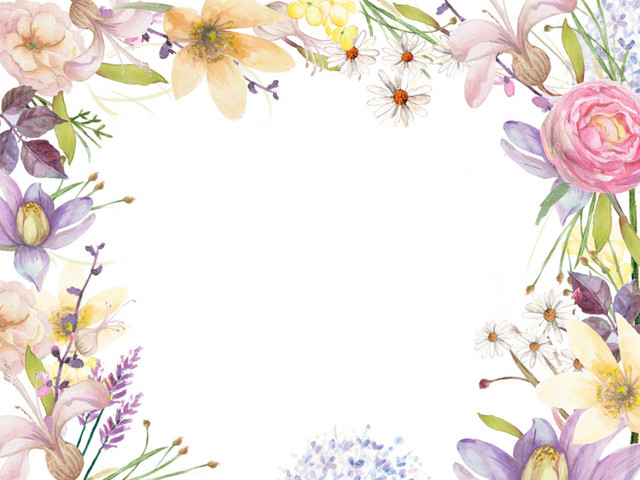 叶子花朵PNG素材