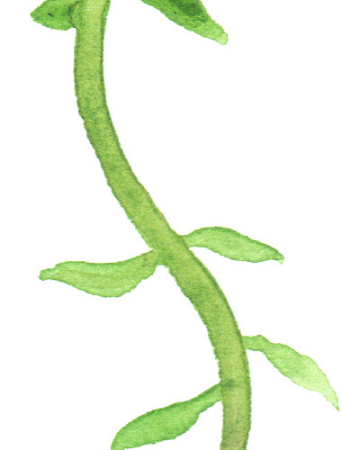 手绘卡通花朵素材