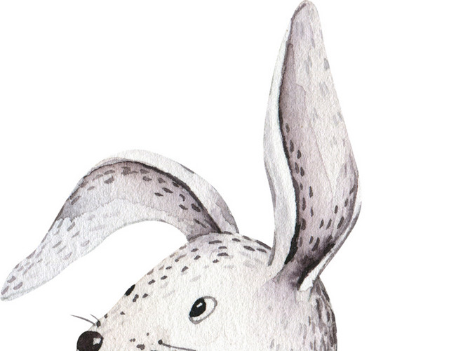 卡通兔子插画素材