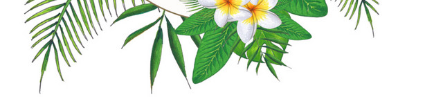 白色花朵绿叶装饰图框