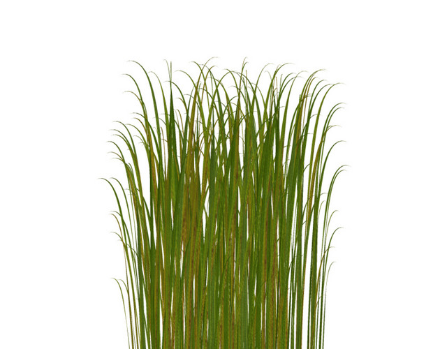 卡通小草矢量图