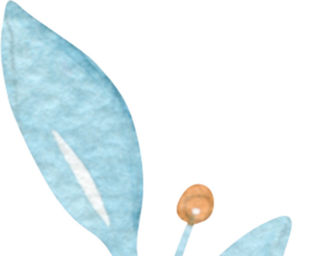 彩绘花草元素矢量图