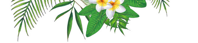 绿叶花朵方形装饰图框
