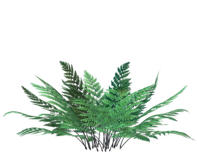 植物矢量图