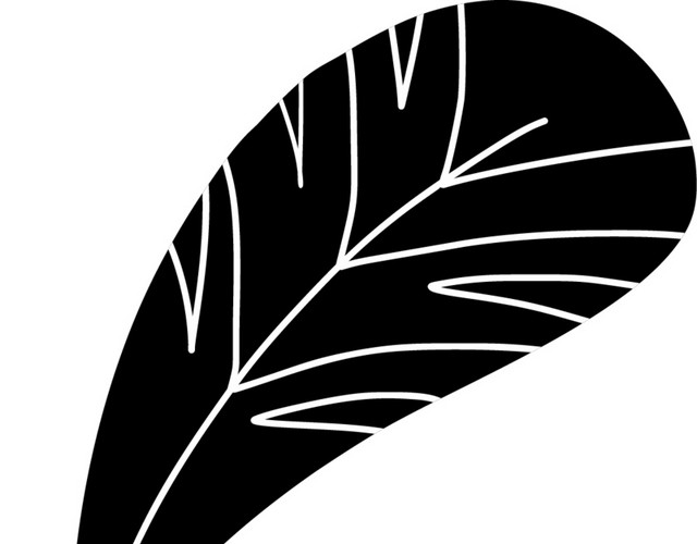 黑色羽毛矢量图