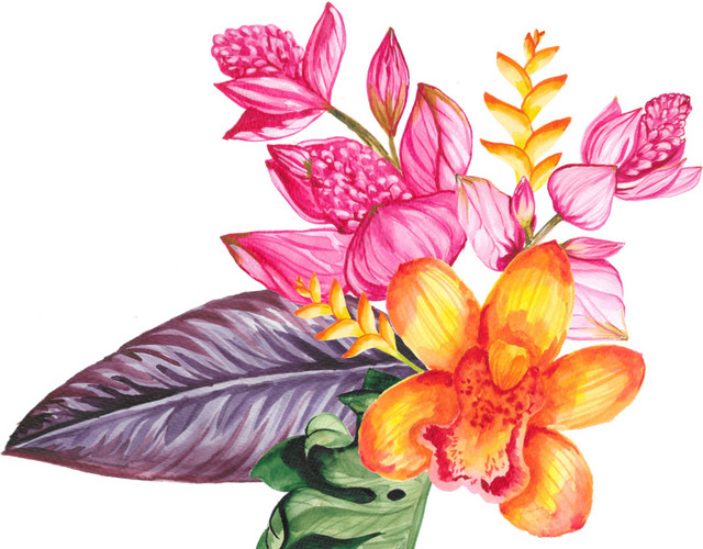 鲜花素材
