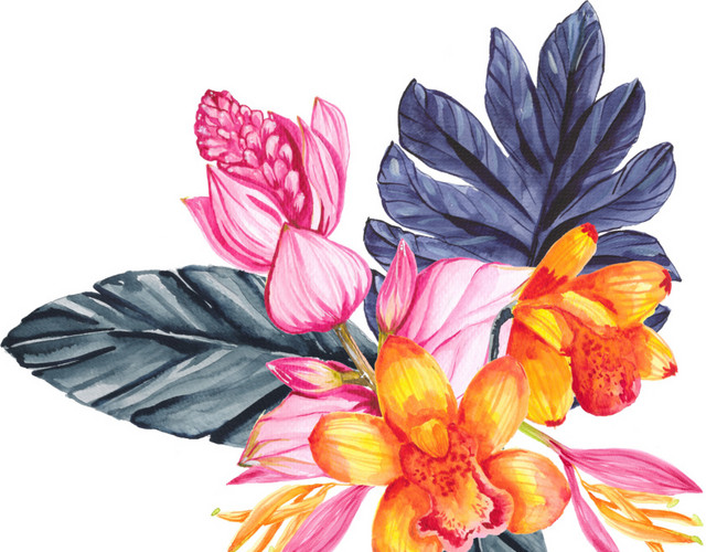 鲜花素材