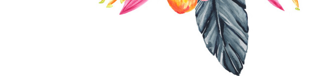 鲜花素材