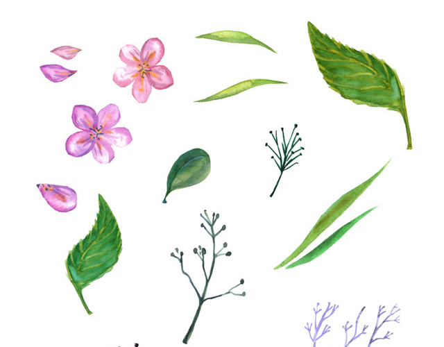 漂浮的花草元素