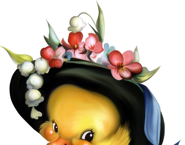 鸭太太素材