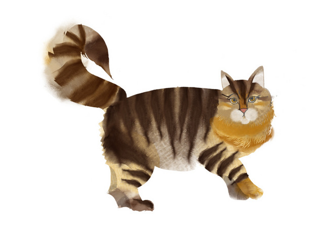 卡通猫咪矢量图