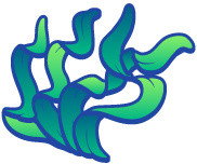 彩色手绘卡通海草矢量素材