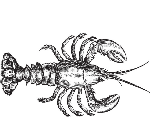 铅笔绘画素描素材