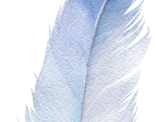 羽毛矢量素材