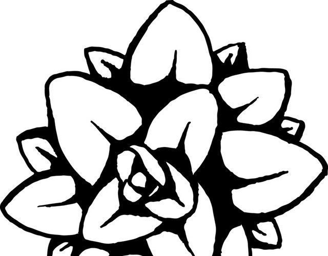 花朵简笔画素材