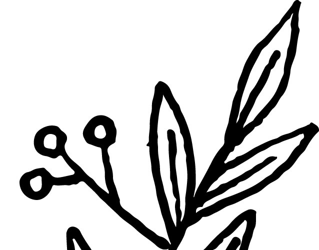 简笔画植物素材