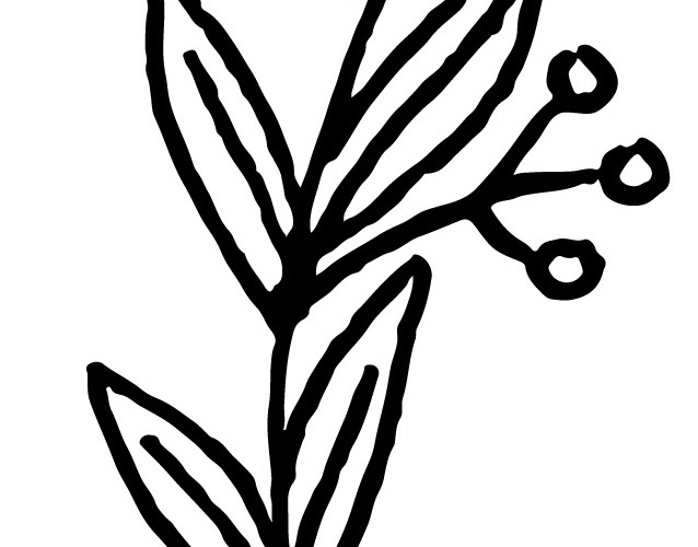 简笔画植物素材