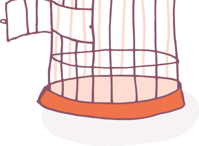 彩色笼子插画