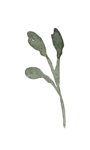 墨绿色的植株矢量元素