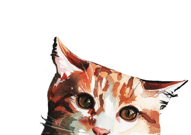 咖啡色的猫矢量元素