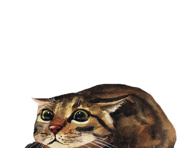 棕色的猫矢量元素