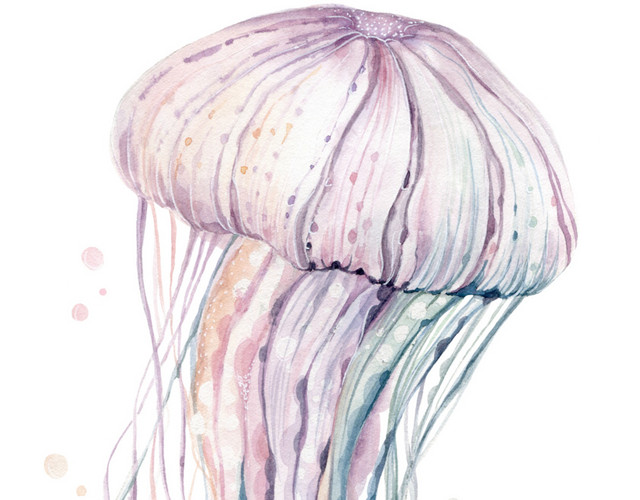 手绘唯美水母素材