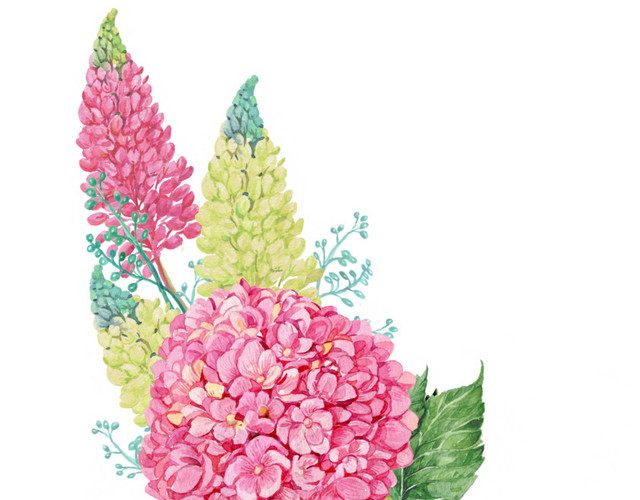 彩色手绘花卉免抠素材