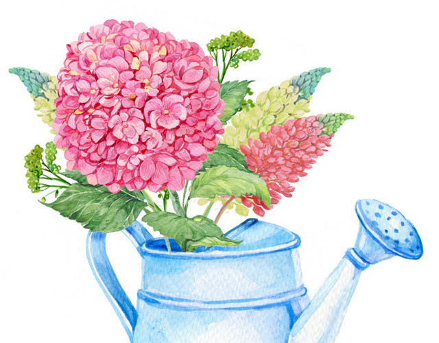 彩色手绘花卉免抠素材