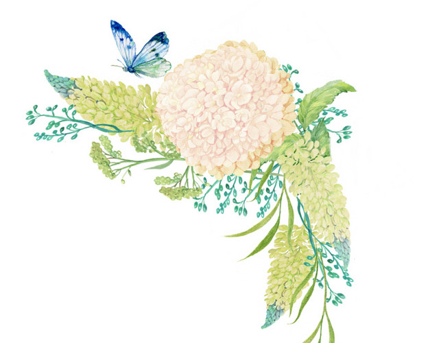 彩色手绘花卉免抠素材