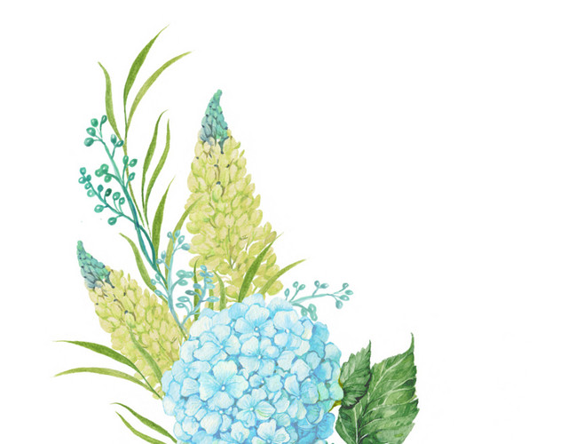 彩色手绘花卉免抠素材