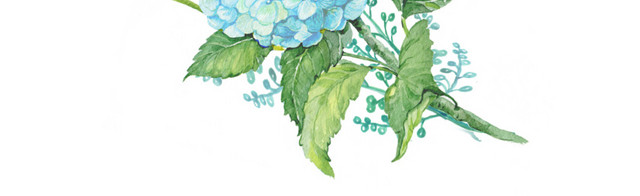 彩色手绘花卉免抠素材