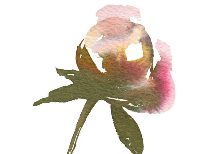 手绘花卉图片