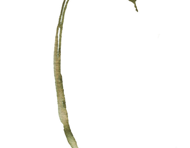 手绘花卉图片