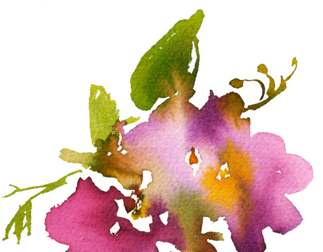 手绘花卉图片