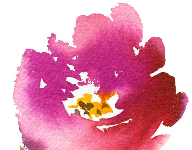 手绘花卉图片