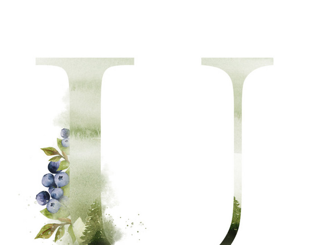 创意唯美字母