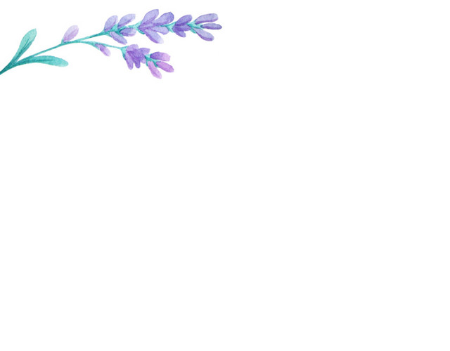 花卉手绘图片