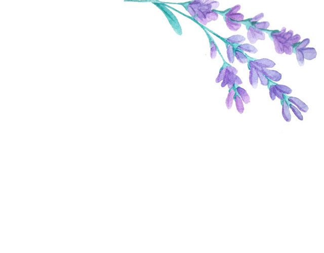 花卉手绘图片