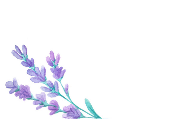 花卉手绘图片