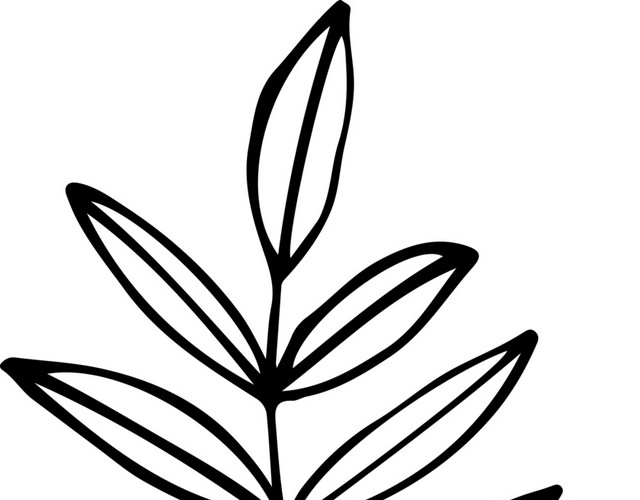 创意手绘植物