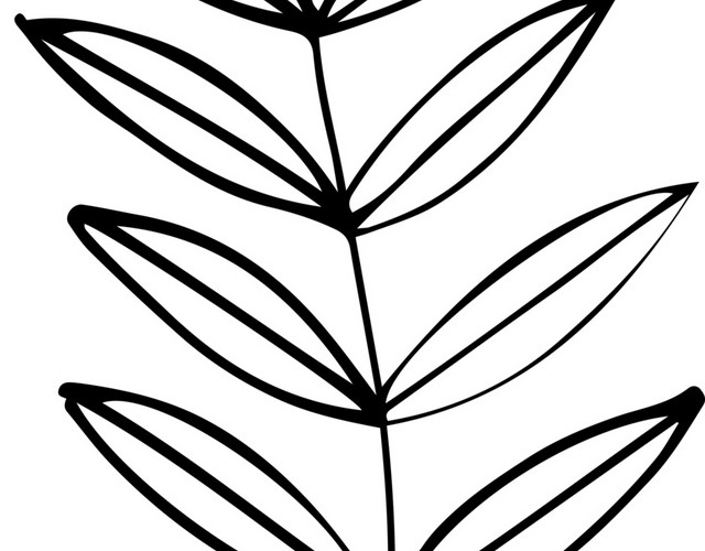 创意手绘植物